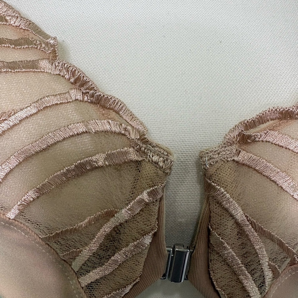 Paramour Nude Front-Close Sheer Embroidered Underwire Bra - Picture 3 of 11